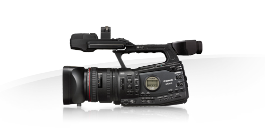 XF305